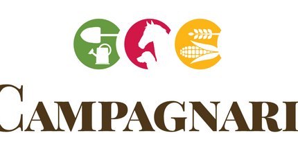 Collection image for: Campagnard-Cheval