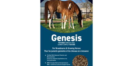 Brooks, Genesis, Moulée complète pour cheval Cubée, 25 kg