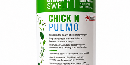 Chick`n Swell CHICK'N BREATH supplément soutient respiratoire pour poules, 500ml