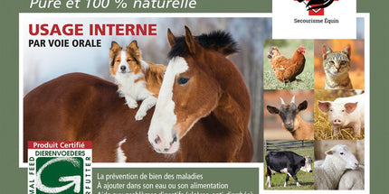 Secourisme Équin Argile verte en poudre - Usage interne 2kg