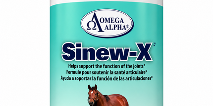 Omega Alpha Sinew - X, 1 L
