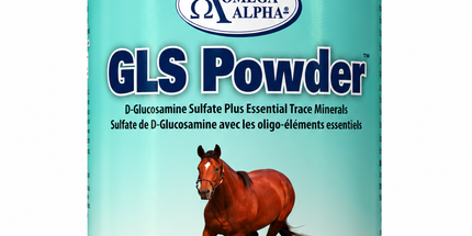 Omega Alpha GLS Powder, 1 Kg
