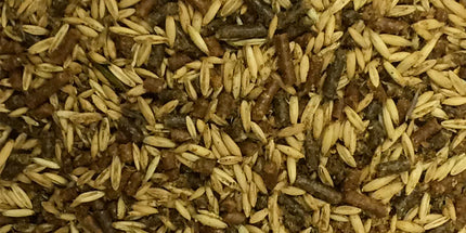 Campagnard Moulée Amazone (25 kg)