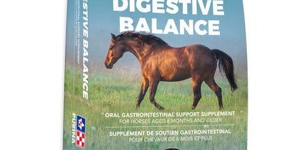 Purina DigestiveBalance 20 Kg