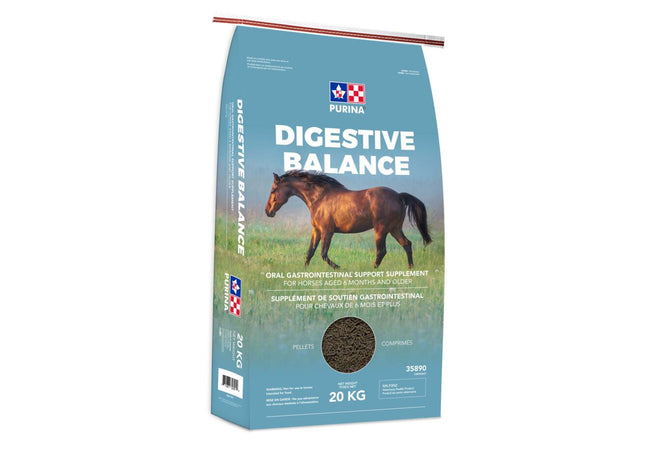 Purina DigestiveBalance 20 Kg