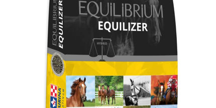 Purina Equilizer 25 Kg