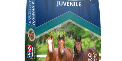 Purina Evolution Juvenile 20 Kg