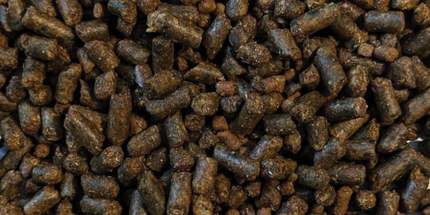 Brooks, Eeze,  Moulée complète pour cheval Cubée, 25 kg