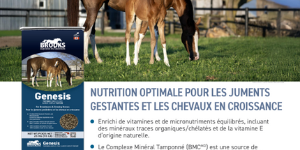 Brooks, Genesis, Moulée complète pour cheval Cubée,25 kg