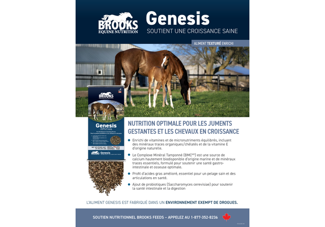 Brooks, Genesis, Moulée complète pour cheval Cubée,25 kg