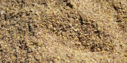 Flax Appeal Supplément fibreux Graines de lin, omega-3, protéine et vitamine E, Poudre 20 kg