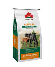 Alfalfa MINI-cube de Luzerne Semican - (50 lbs)