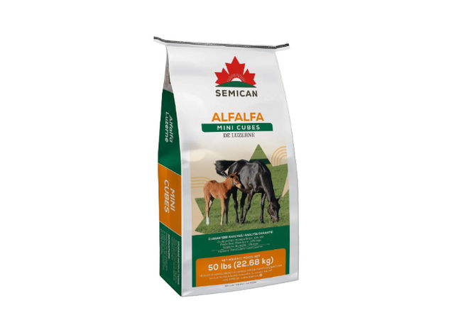 Alfalfa MINI-cube de Luzerne Semican - (50 lbs)
