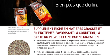 Flax Appeal Supplément fibreux Graines de lin, omega-3, protéine et vitamine E, Poudre 20 kg