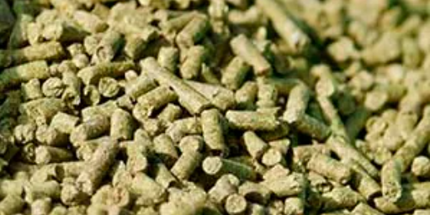 Brooks, Fibrelite, Aliment complet de remplacement de foin, Cubée 25 kg