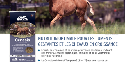 Brooks, Genesis, Moulée complète pour cheval Cubée, 25 kg