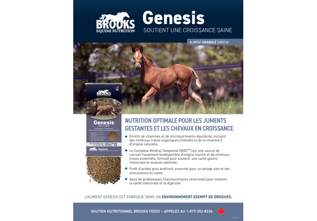 Brooks, Genesis, Moulée complète pour cheval Cubée, 25 kg
