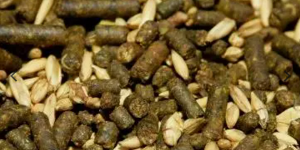 Brooks, Phase V,  Moulée complète pour cheval Texturée, 25 kg