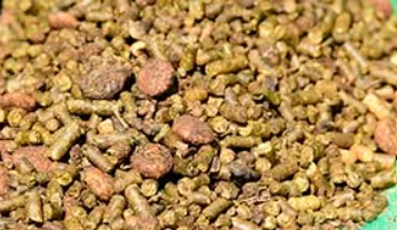 Brooks Senior | Moulée complète pour cheval | Texturée | 20 kg |