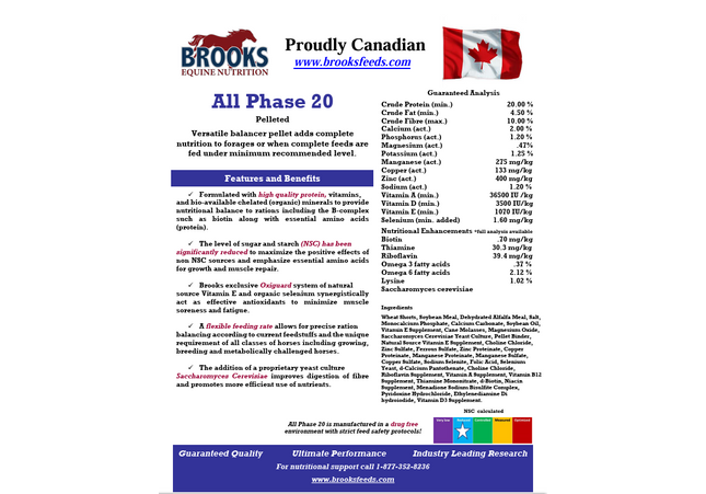 Brooks, All Phase 20, Supplément compensateur pour cheval, Cubé, 25 kg