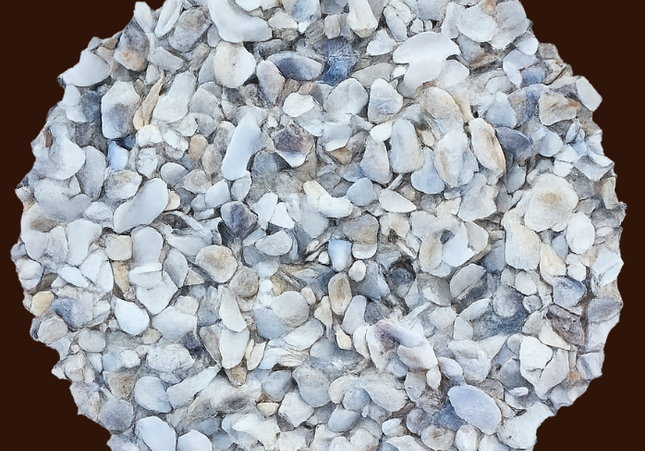 Maska Select, Coquilles d’huître Production Œuf, Calcium, 4 Kg