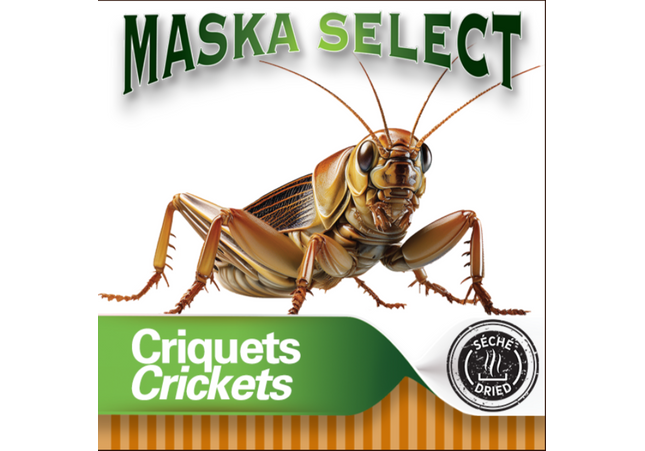 Maska Select, Criquets Séchées 5kg