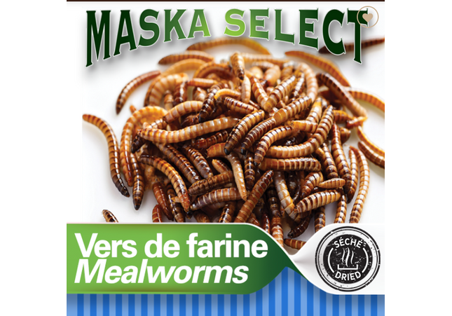 Maska Select, Vers de farines séchés 150 g