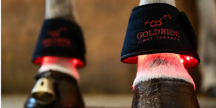 Goldride - Bell Boots Model 80-WL (Sans fil) - Paire
