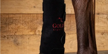 Goldride  Leg Wrap Model 110-WL (Wireless) - Unit
