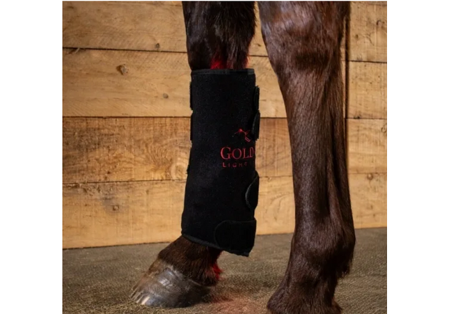 Goldride - Leg Wrap Model 110-WL (Sans fil) - Unité