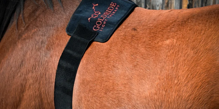 Goldride  Pad Model 136-W (Wired) - Horse