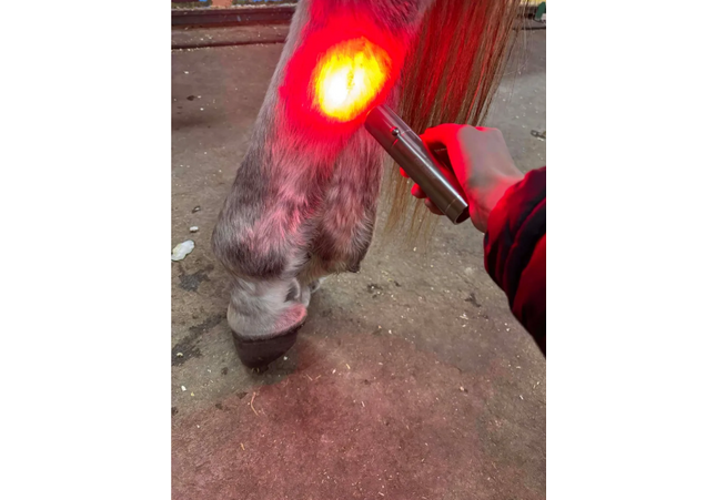 Goldride - Model Lampe de précision