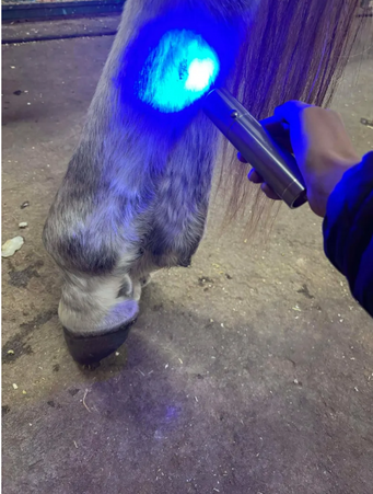 Goldride - Model Lampe de précision
