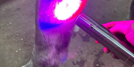 Goldride - Model Lampe de précision