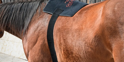 Goldride  Pad Model 270-W (Wired) - Horse