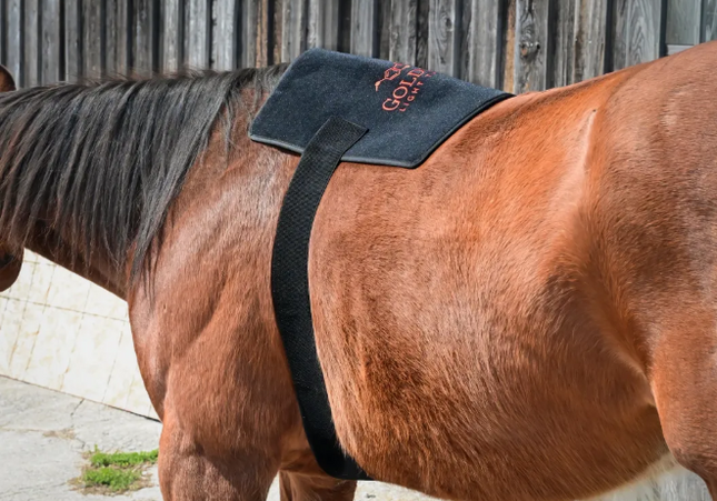 Goldride - Pad Model 270-W (Avec fil)