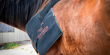Goldride  Pad Model 270-W (Wired) - Horse