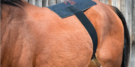 Goldride  Pad Model 270-W (Wired) - Horse
