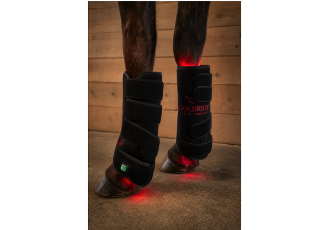 Goldride - Leg Wrap Model 110-WL (Sans fil) - Paire