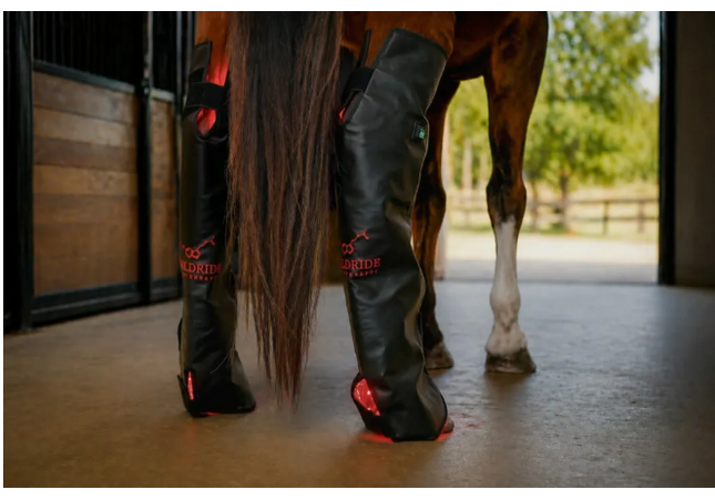 Goldride - Full Leg Wrap (Arrière) Model 238-WL (Sans fil) - Unité