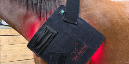 Goldride  Pad Model 240-WL (Wireless) - Horse