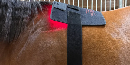 Goldride  Pad Model 240-WL (Wireless) - Horse