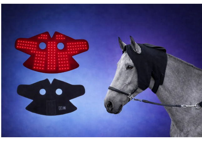 Goldride - Poll Cap Model 151-WL (Sans fil)