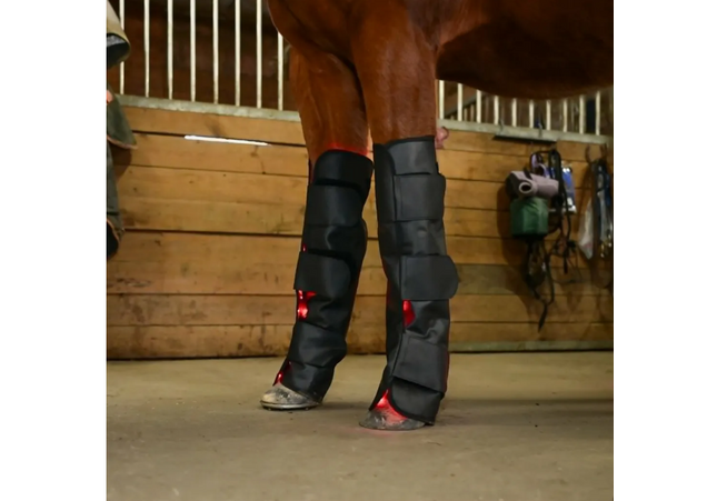 Goldride - Full Leg Wrap (Devant) Model 168-WL (Sans fil) - Unité
