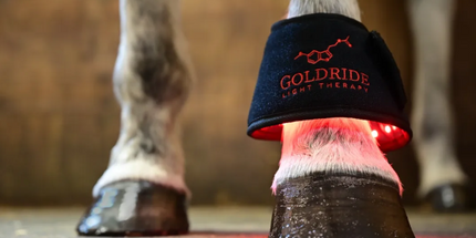Goldride  Bell Boots Model 80-WL (Wireless) - Unit