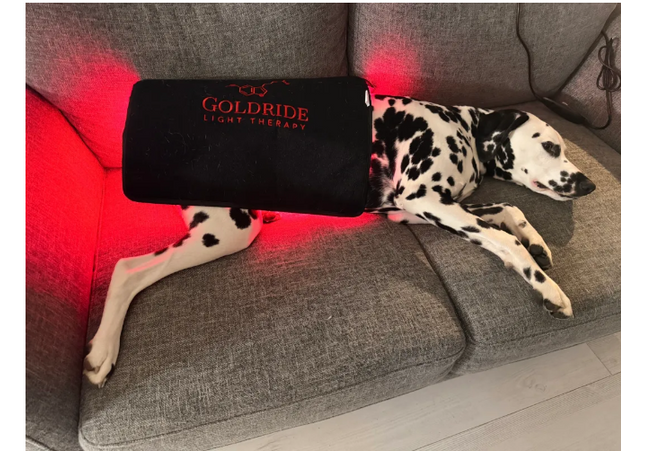Goldride - Pad Model 270-W (Avec fil)