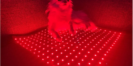 Goldride  Pad Model 270-W (Wired) - Dog