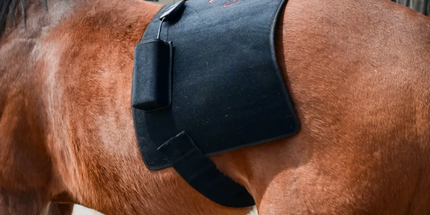 Goldride  Pad Model 720-W (Wired) - Horse