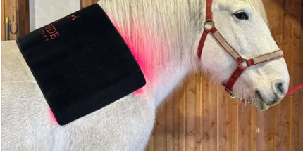 Goldride  Pad Model 720-W (Wired) - Horse