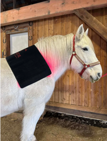 Goldride - Pad Model 720-W (Avec fil)